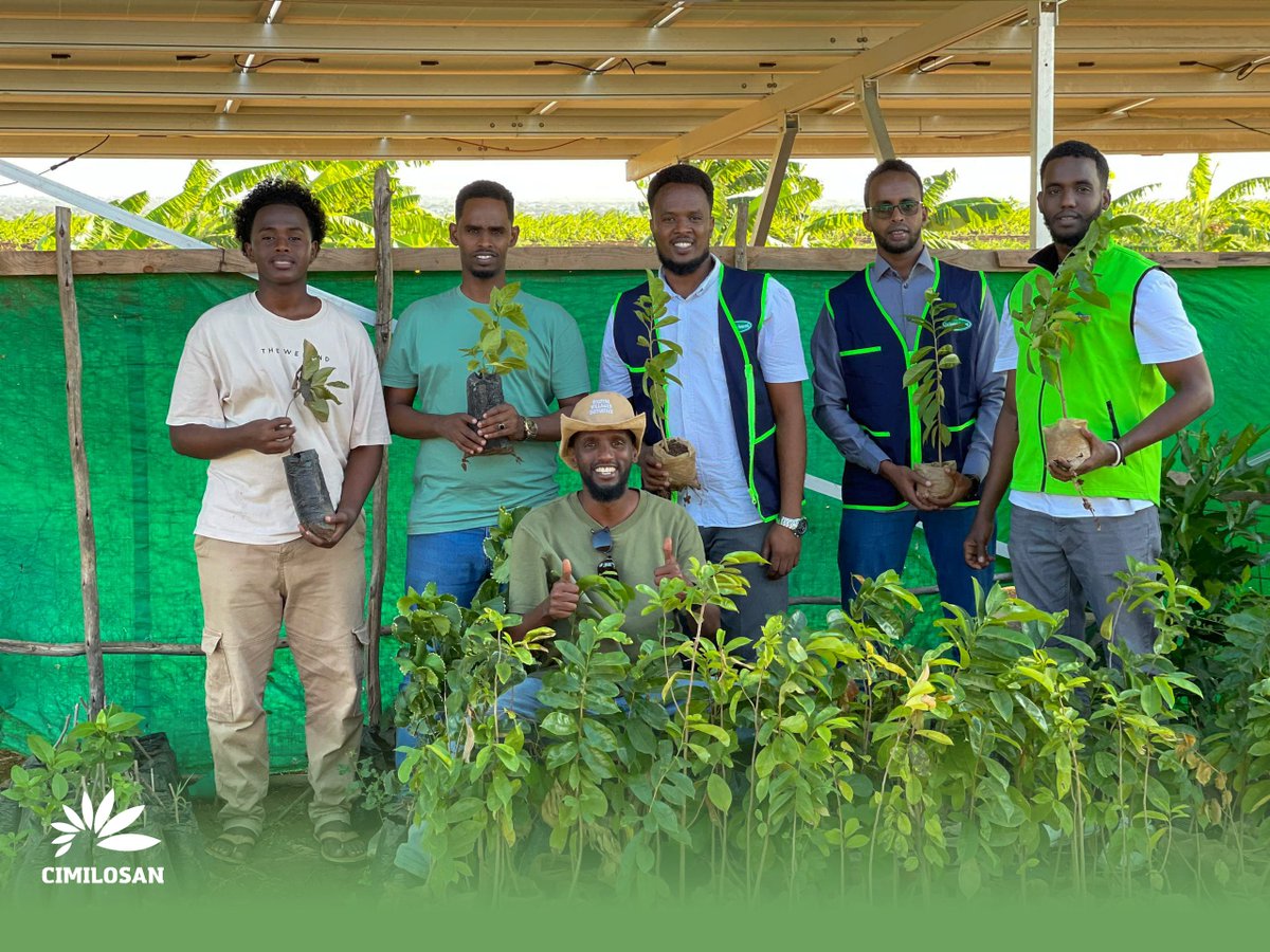 cimilosan's tweet photo. We believe in giving back to our communities. Proud to announce our initiative to donate over 1,000 trees to hospitals, schools, and more. Together, let's nurture a healthier environment for all!
#GivesBack #sustainablefuture #treecampaign #cleaning #environmentallyfriendly https://t.co/hzrgWUCPKF