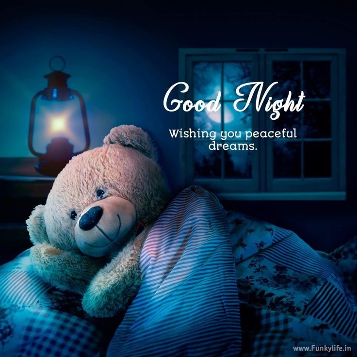 ASSALAMUALAIKUM 
محبت کھیل ہے قسمت کا صاحب 
زلیخا نام رکھنے سے یوسف نہیں ملتا
🌾Good Night 🌉
Everyone
X family Kk ❤️