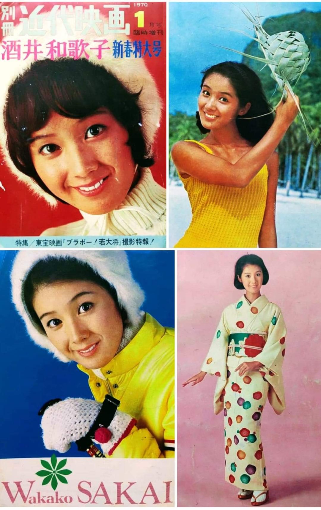 昭和の女優は美しい】蘇る青春のヒロインたち(吉永小百合・酒井 昭和の女優は美しい】蘇る青春のヒロインたち(吉永小百合・酒井
