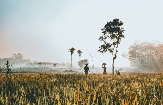 🌿 NEW research from @BUBeckyRay + @BAlexSimmons finds that 91 emerging markets + developing economies are experiencing debt stress or capital market constraints that jeopardize their ability to meet climate + nature financing needs. 🧵⤵️ gdpcenter.org/NowOrNever