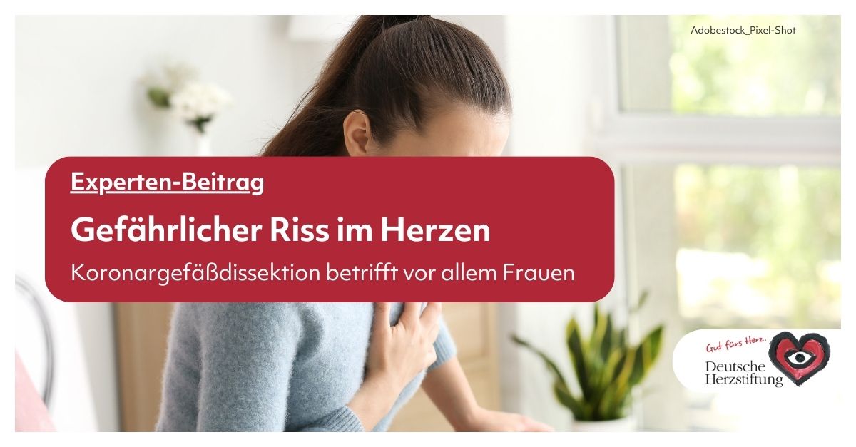 Deutsche Herzstiftung (@herzstiftung) on Twitter photo #Herzinfarkt, aber kaum Risikofaktoren? Erfahren Sie mehr über die spontan auftretende Koronargefäßdissektion, die besonders Frauen betrifft. Ein gefährlicher Riss im Herzen - ohne Plaques. Warum sie häufiger bei Frauen ein Thema ist: tinyurl.com/59d2f @dpa_tmn <a href="/TK_Presse/">TK Presse & Politik</a> #Herzinfarkt, aber kaum Risikofaktoren? Erfahren Sie mehr über die spontan auftretende Koronargefäßdissektion, die besonders Frauen betrifft. Ein gefährlicher Riss im Herzen - ohne Plaques. Warum sie häufiger bei Frauen ein Thema ist: tinyurl.com/59d2f @dpa_tmn <a href="/TK_Presse/">TK Presse & Politik</a>