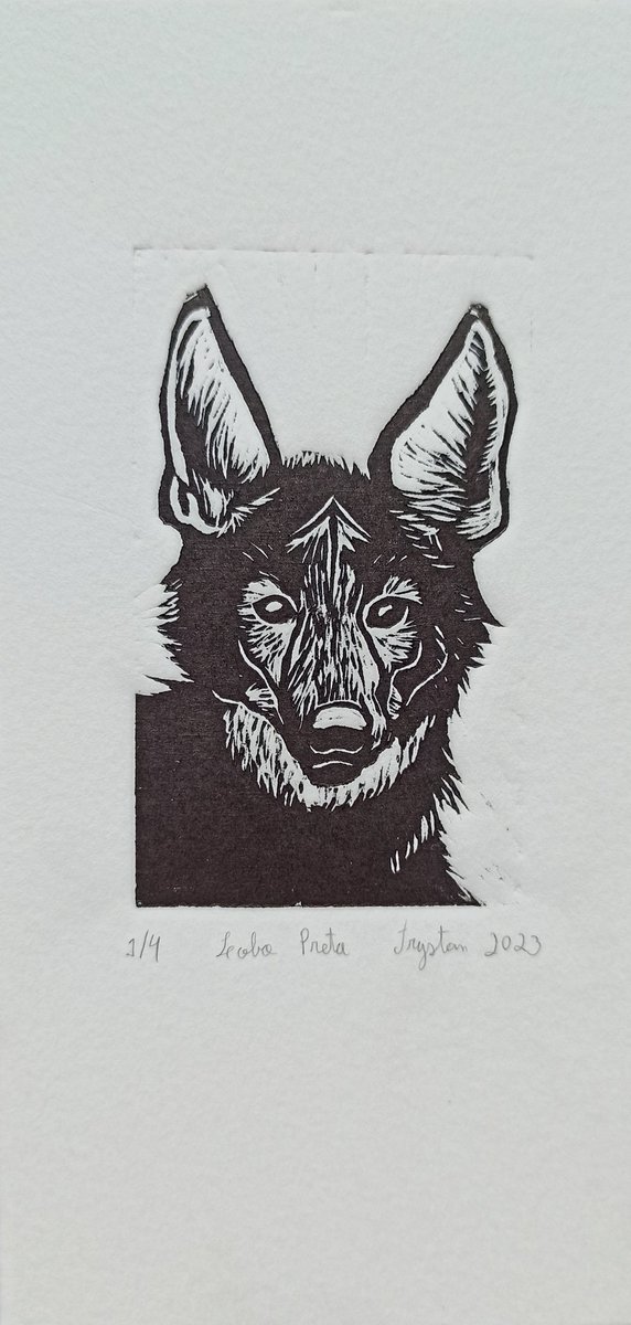 (Ele/he) Trystan ☆ Acidente Cósmico tweet media