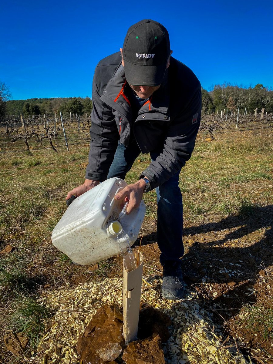 Vendredi matin, nous avions rendez-vous chez David Belamy, vigneron bio à Vinezac, pour planter des #mûriers et des tilleuls qui, dans quelques années, seront taillés en "têtard" pour favoriser le développement et la sauvegarde de la #biodiversité ! 🪺
#vigneronsardechois #nature