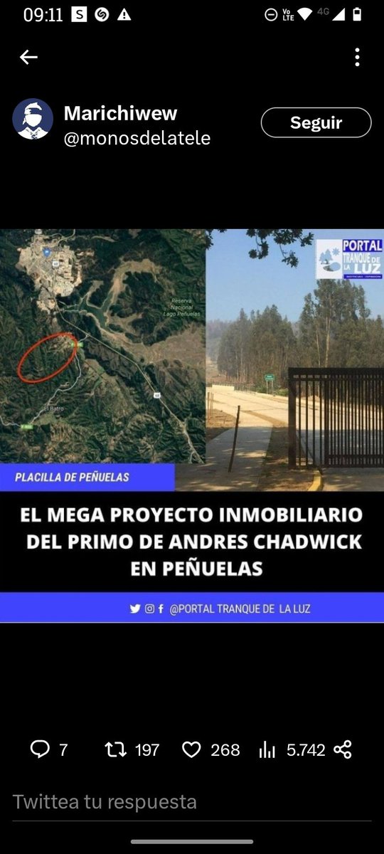GeovanninaP's tweet photo. Ya basta de los incendios provocados por los de derecha para llevar a cabo un proyecto de construcción que se sepa !!!! https://t.co/3kc0xy0iUY