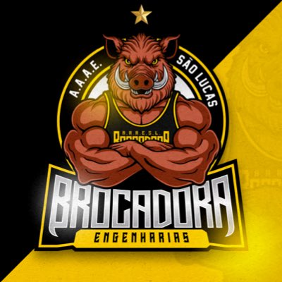 ABrocadora's tweet photo. Uma nova era! 🐗💛🖤
#NovaFotoDePerfil https://t.co/1VrITmPGd3