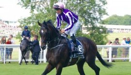 HORSERACING1002's tweet photo. WINGS OF EAGLES 🇫🇷2014
(POUR MOI - YSOLDINA BY KENDOR)
#WingsofEagles
B/ 1mme 1aliette Forien & 3m. 1 Gillespie Forie n 🇫🇷Mar 17, 2014.
O/ Coolmore
T/ Aidan O'Brien
ARAUG $244,398
7-2-1-1---£1,075,441
Epsom Derby G1
2nd Chester Vase G3
3rd Irish Derby G1. https://t.co/91BQnOiXMq