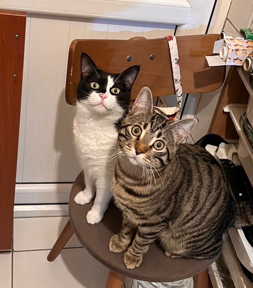 Onlardan habersiz sosis yeniyomuş