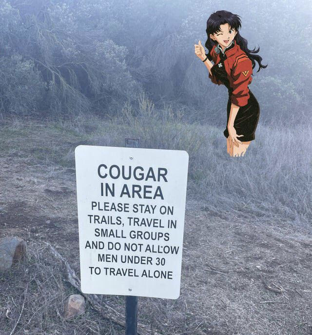 eva posting (@evangelionjpeg) on Twitter photo 