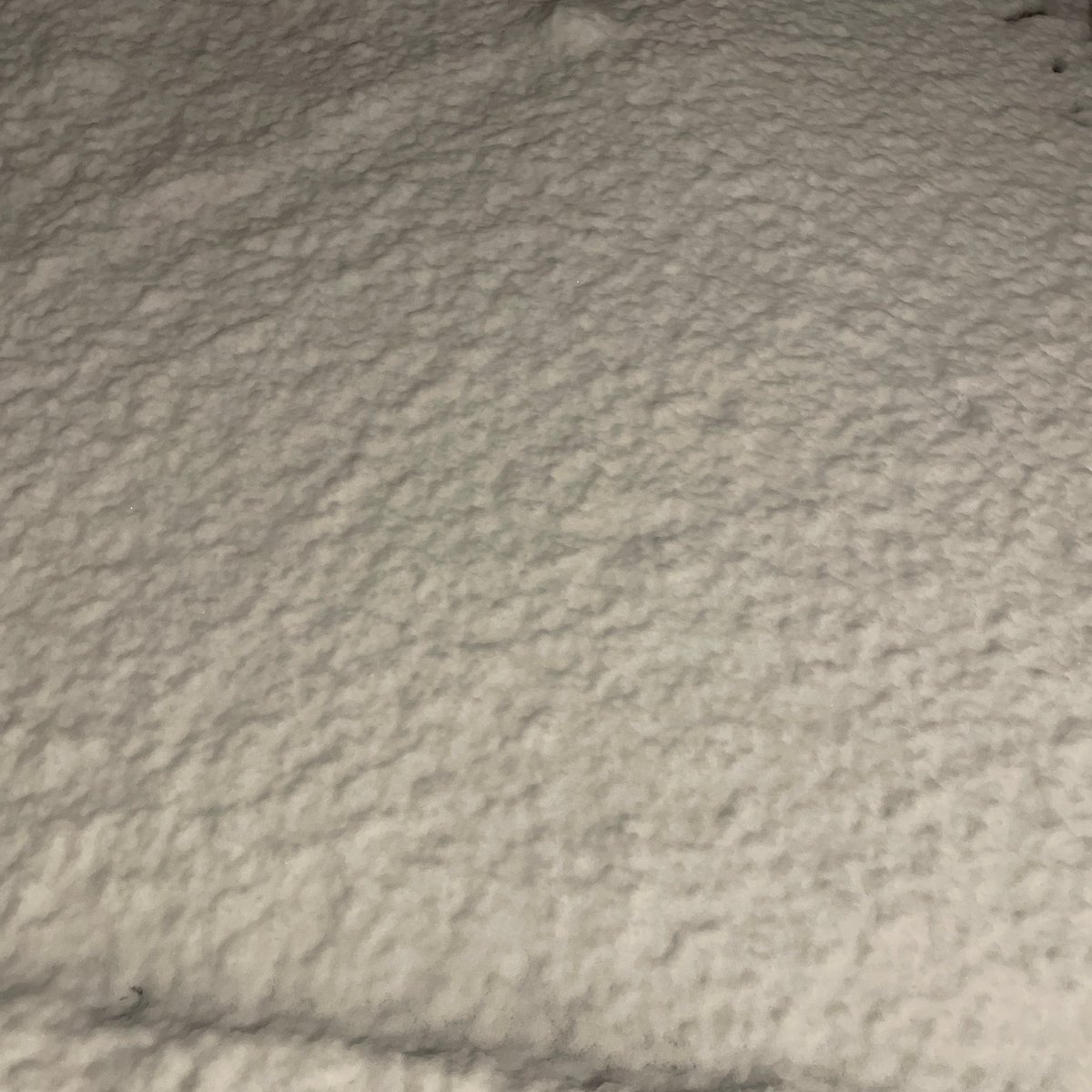 2ndTOKIO's tweet photo. 雪がつもってる、久しぶり〜 https://t.co/kNd7F21Bwr