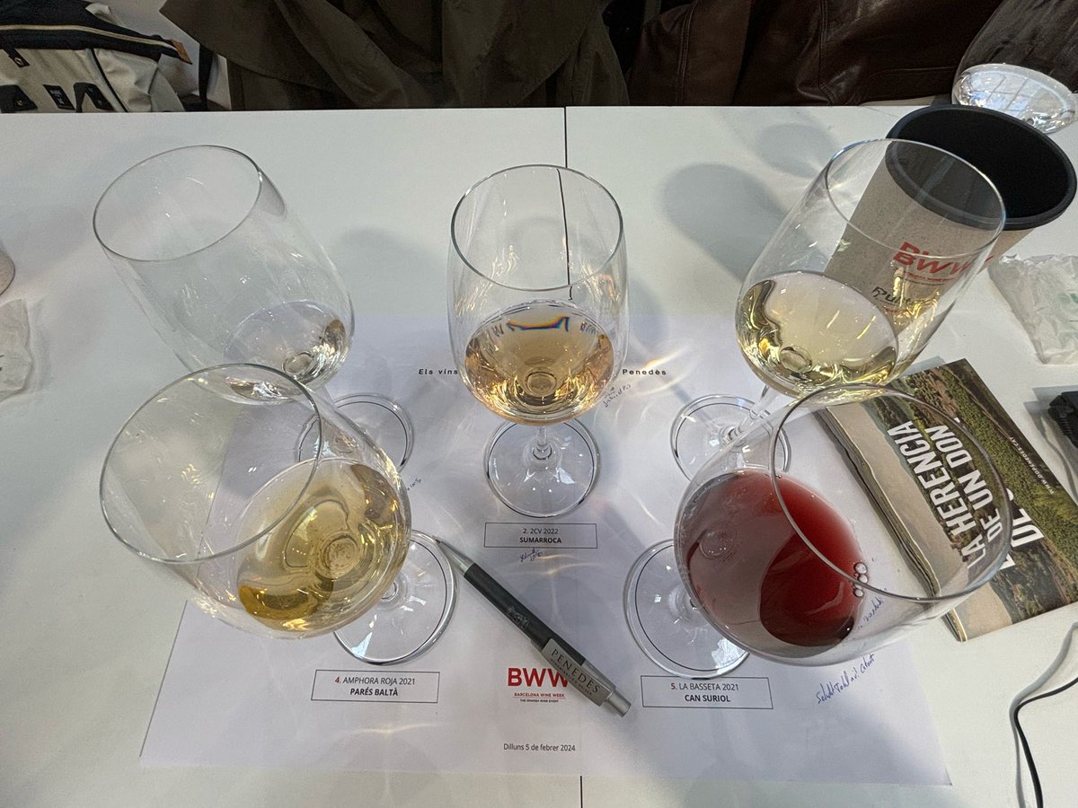 BSumarroca's tweet photo. Comencem #barcelonawineweek amb una gran ponència a mans de  Álvaro Ribalta Millán i 
@jluquesanz sobre "Los vinos de mínima intervención y la DO Penedès" on el nostre 2CV ha sigut un des protagonistes! Som-hi!  
Sumarroca C-152 https://t.co/t6gzEzgZ4v