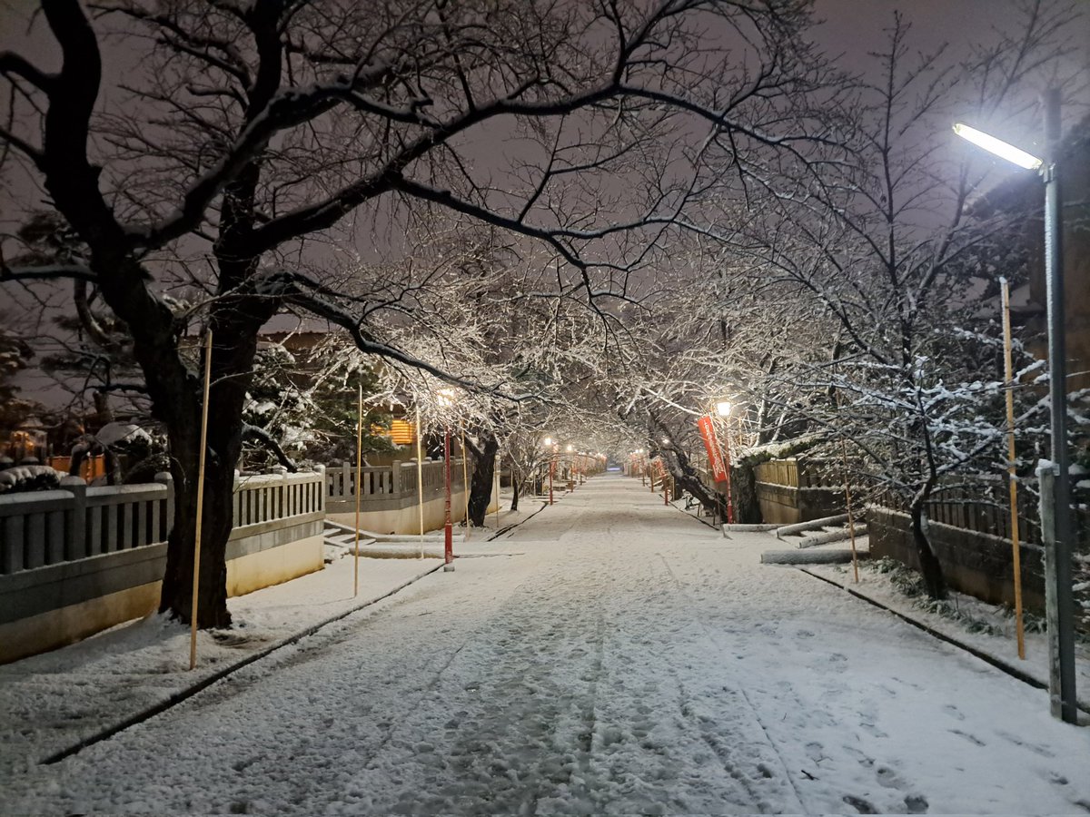 The Cooking Canadian tweet media