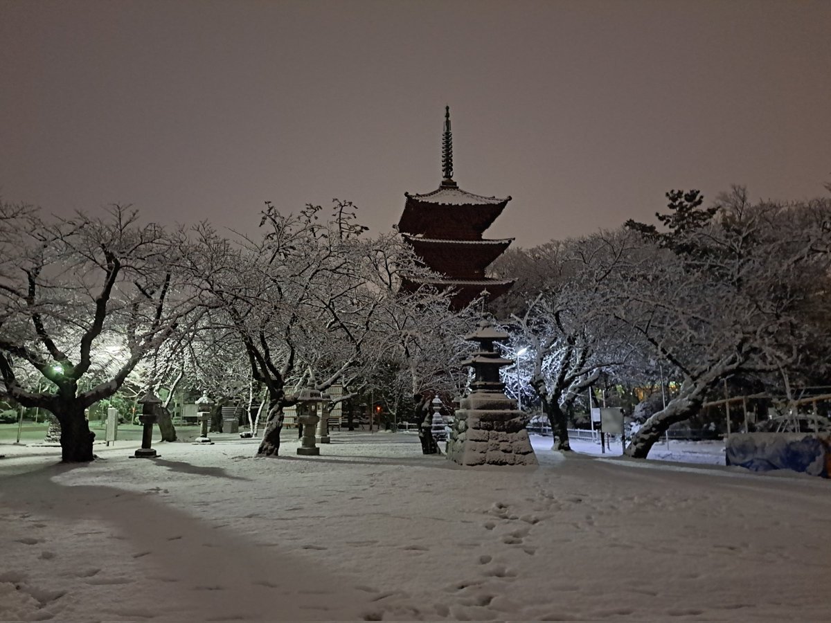The Cooking Canadian tweet media