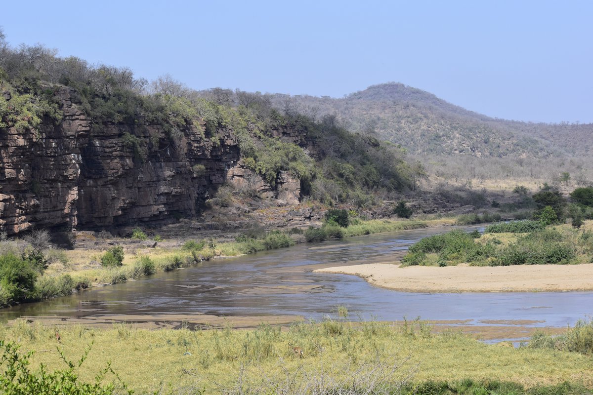 wildlifeact's tweet photo. The variation of the bush on the southern section of the Hluhluwe-iMfolozi Park offers volunteers at Wildlife ACT's iMfolozi project excellent and varied game viewing opportunities - all in the name of conservation!

Learn more here: https://t.co/IlJF9wrknm

Photos: Zoe Phillips https://t.co/9E8I0rYUL5