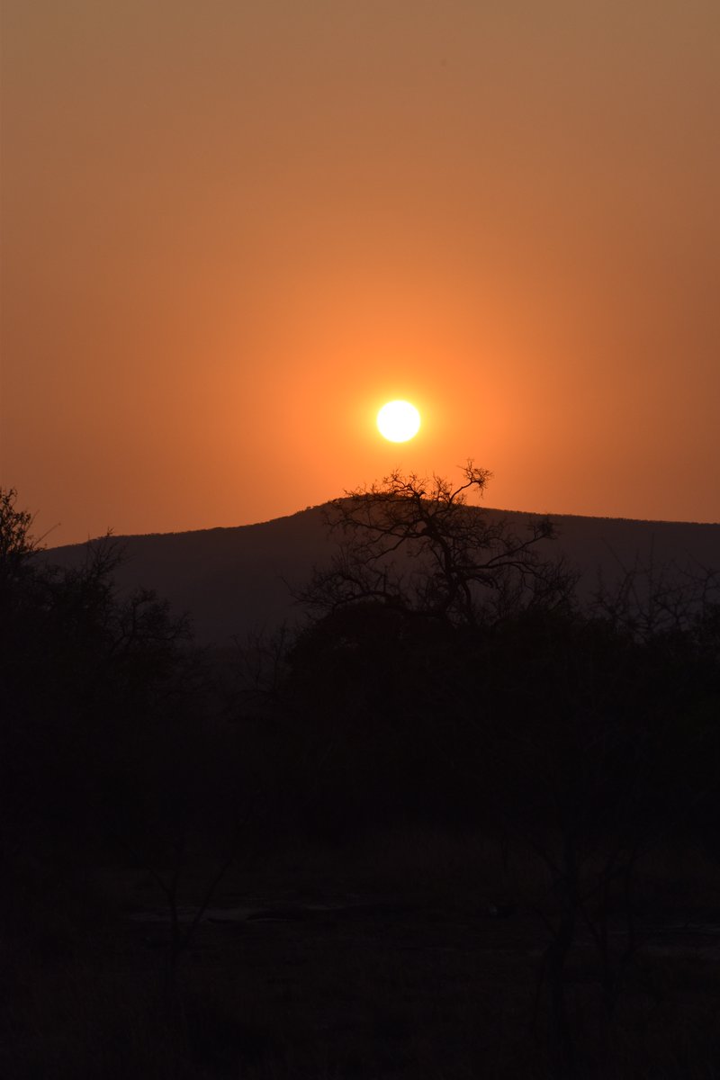 wildlifeact's tweet photo. The variation of the bush on the southern section of the Hluhluwe-iMfolozi Park offers volunteers at Wildlife ACT's iMfolozi project excellent and varied game viewing opportunities - all in the name of conservation!

Learn more here: https://t.co/IlJF9wrknm

Photos: Zoe Phillips https://t.co/9E8I0rYUL5