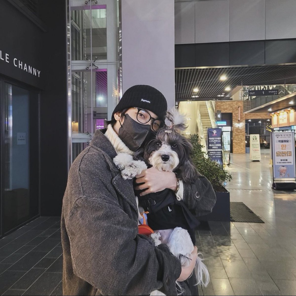 SAYANG YA ALLAH PANTESAN PAKE MASKERRR LAGI MAIN SAMA SEOLI YAA GANTENG BGTTT COKKKK HERAN BISA SEGANTENG INIII 🥺🤏🏻🤏🏻