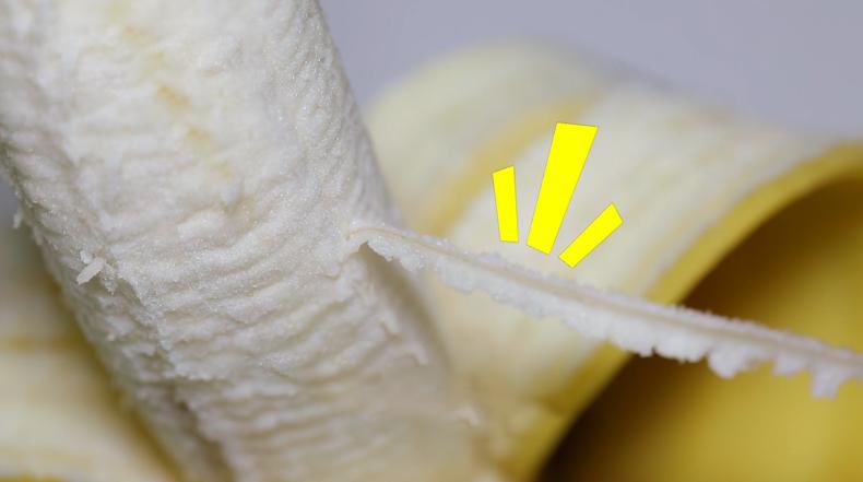 바나나의 이 하얀 실의 정식 명칭은 
‘체관부 다발(phloem bundles)’이며 
영양분과 수분을 전달해 바나나가 자라는데 
매우 중요한 역할을 한다고 한다

굳이 떼지 않고 먹는 걸 추천한다는데
원숭이도 맛없어서 안 먹어;;
