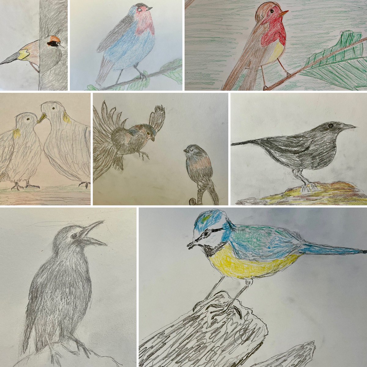 Lisa120381's tweet photo. 1st Thursday of the month is always a very lovely afternoon for me. I get to share it with my good friends at Isla Court Sheltered housing. I absolutely adore some of the birds the ladies &amp; gents created last week. https://t.co/Rf2UE8o0aR