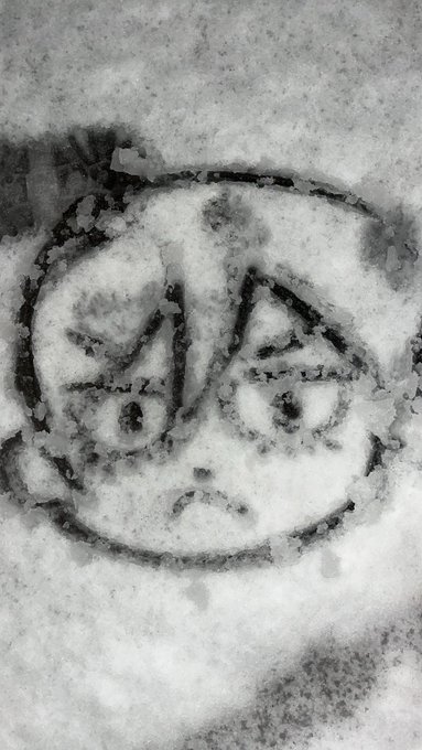 コスプレイヤーあおぴのTwitter画像17