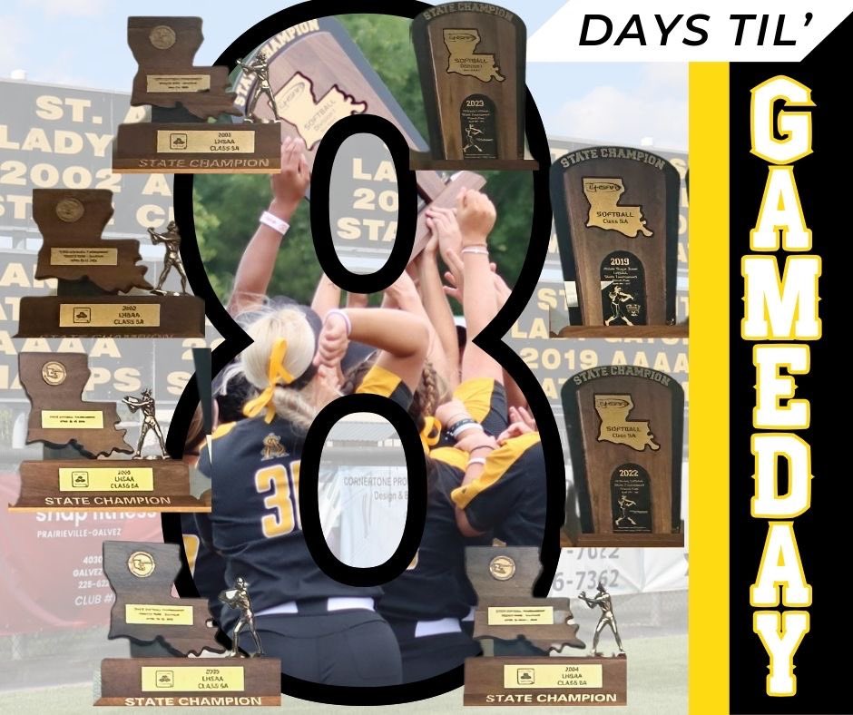 _STAsoftball's tweet photo. 🐊🖤💛 https://t.co/Uy0g5CycBM