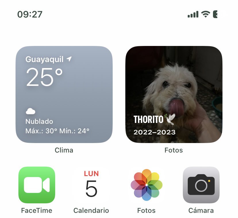 Genesis56775370's tweet photo. Holi mi viejito 🕊️🐾 10M. https://t.co/wpPOAv7Qa1