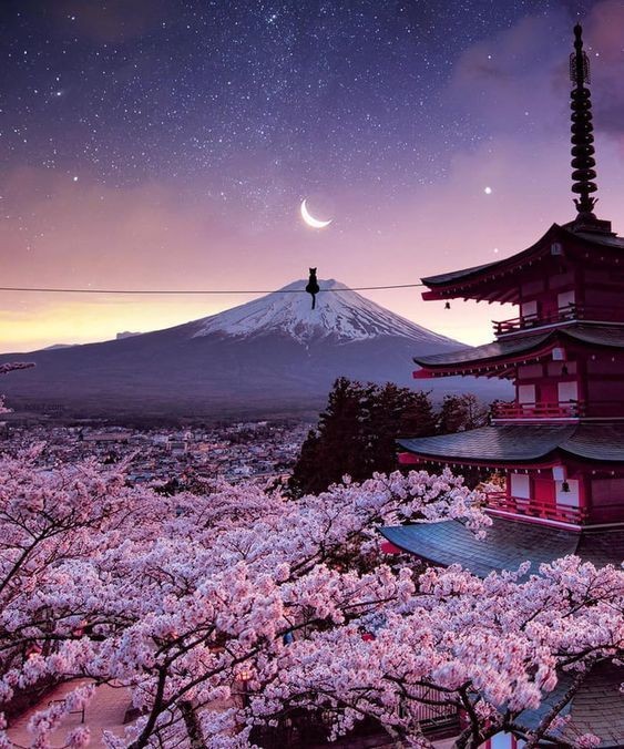 Amidst the stillness of Mount Fuji, the moon whispers secrets only the heart can hear. 🗻🌕✨ 'In nature, find peace.' #FujiNights #MoonMagic #NatureQuotes 🏞️📷