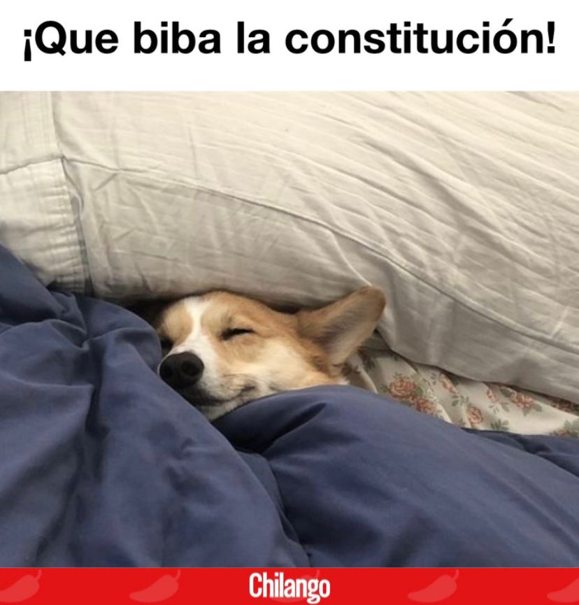 ChilangoCom's tweet photo. Impriman más lunes así. 😌 https://t.co/RRv9lIM3IS