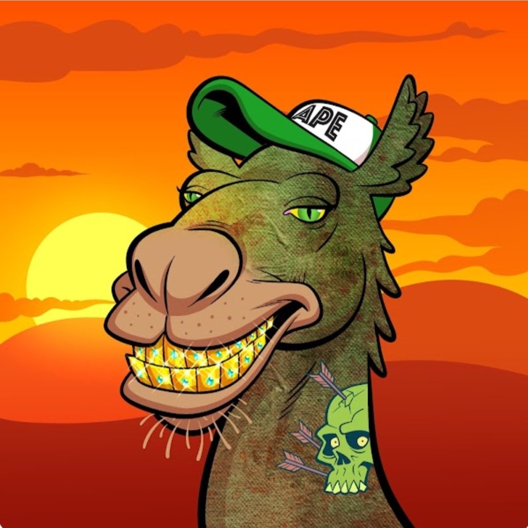 <a href="/ArabianCamels/">Arabian Camels</a> GM 👋☕️ Have an amazing day 🙏🫂❤️