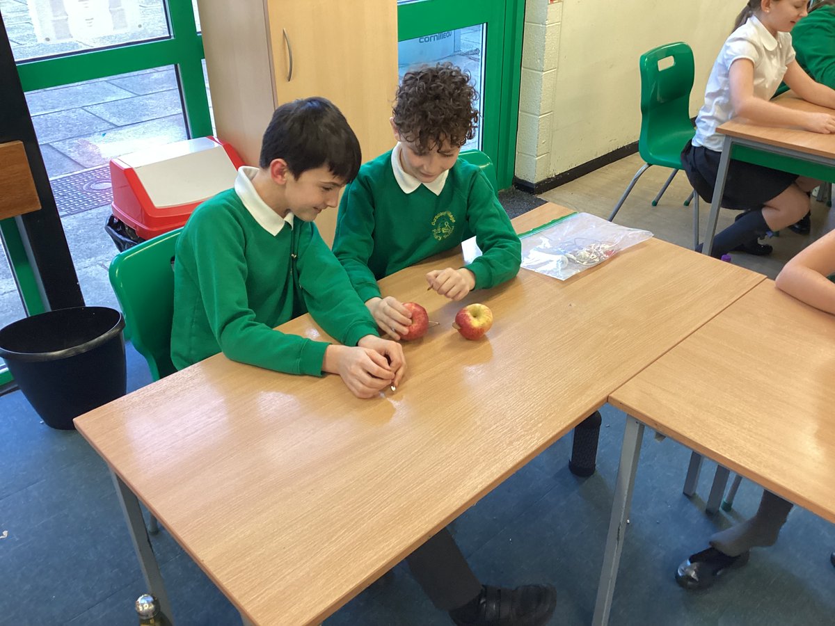 BVPS Year 6 Class Page tweet media