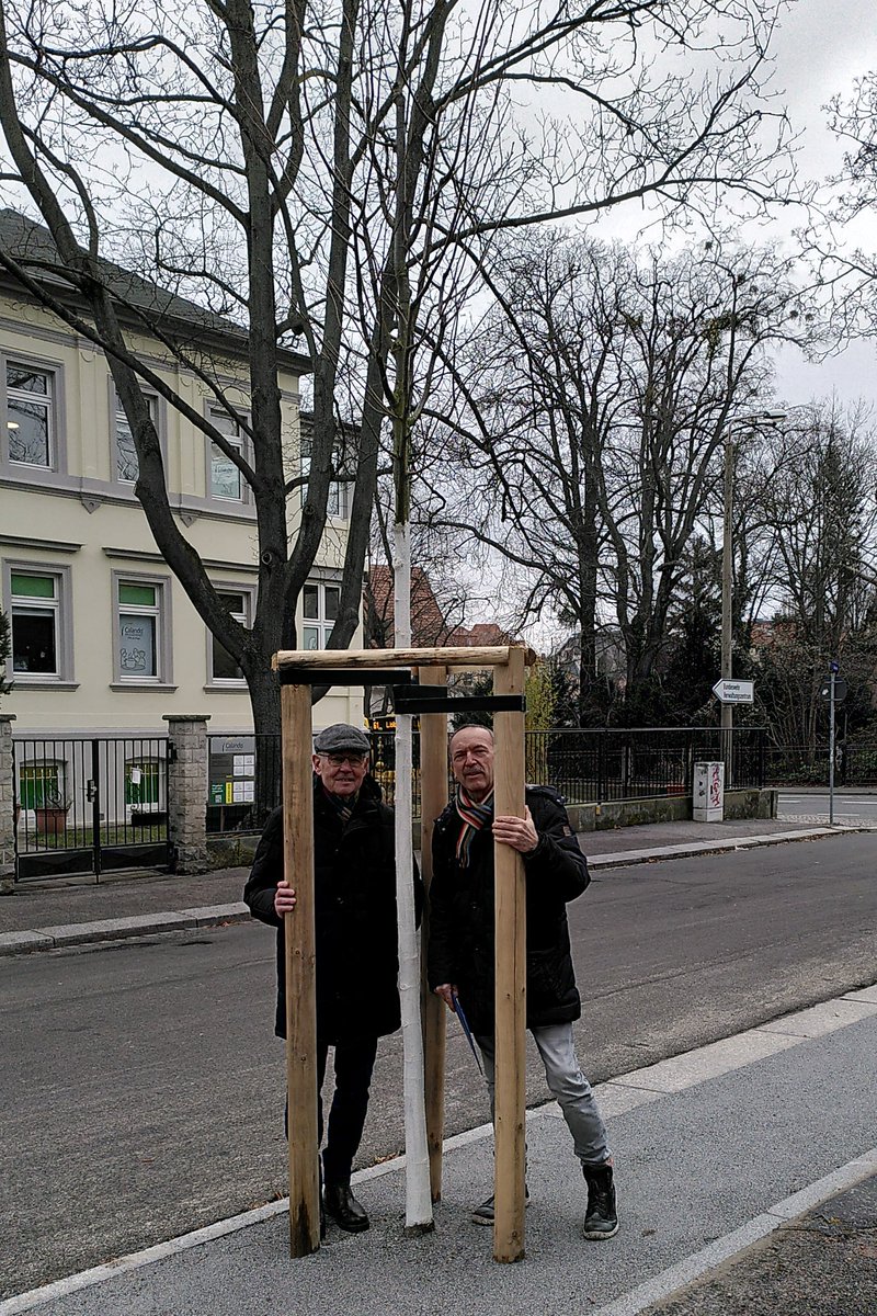 Strehlen: Neue Bäume für die Barlachstraße dlvr.it/T2KzPD