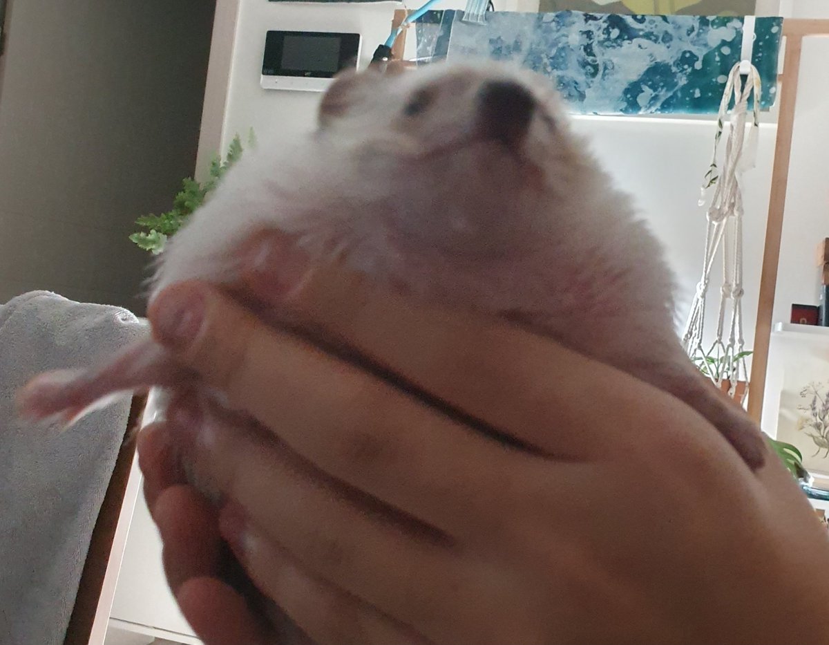long_marong's tweet photo. 그냥 놀란 검정 콩 세 개 https://t.co/5FWzgGSecN