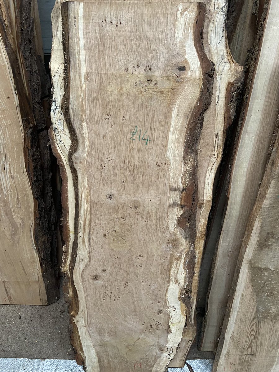 WenTimberCentre's tweet photo. Look at these Pippy Oak boards π. They are short boards, 3/4 of an inch thick and they are in the showroom now! #pippyoak #oak #hardwood #localtimber #sustainable #nativehardwoods https://t.co/3ETZCh2HBE