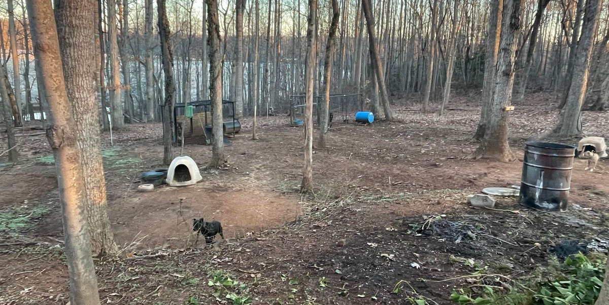 TheHumaneCenter's tweet photo. 🚨Dogfighting Ring "Key Figure" Captured! 🚨
The Iredell County Sheriff’s Office has successfully apprehended a man accused of playing a major role in a dogfighting ring spanning North Carolina and South Carolina!
#animalfighting #animalfightingisthepits #fightact https://t.co/pDCoevRqBS