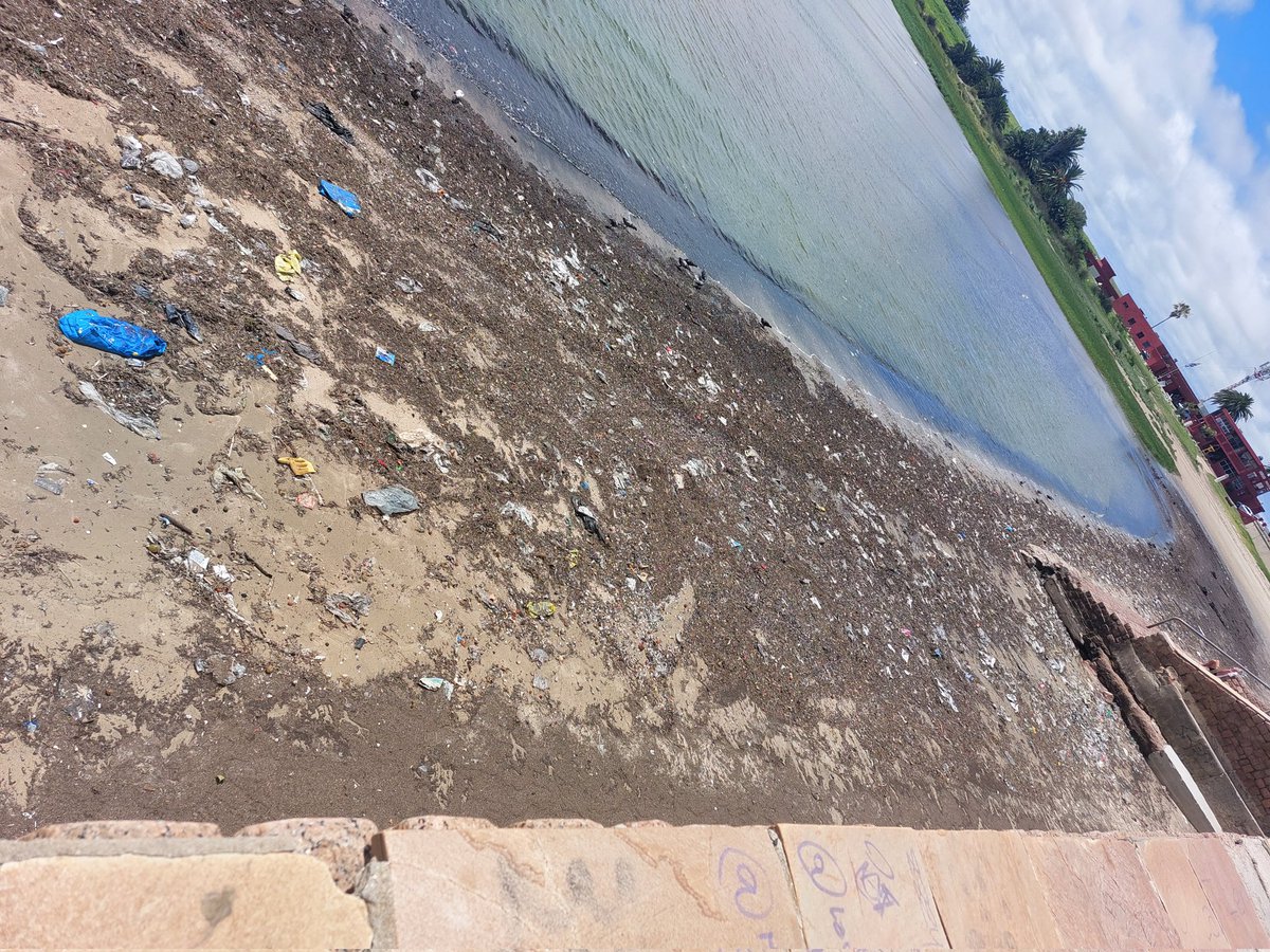 jpruffalini tweet media