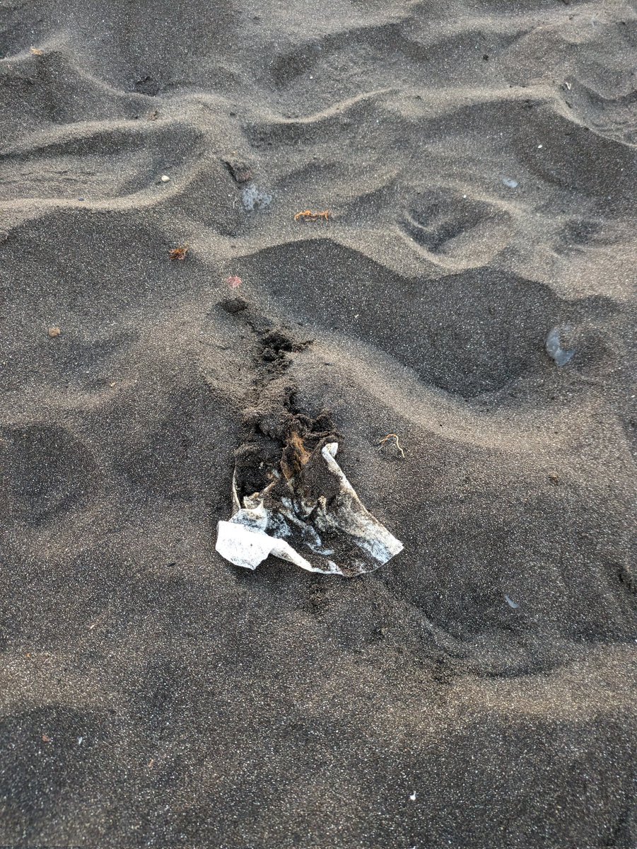 ivvr12's tweet photo. En la Playa del Socorro, Güímar, después de un fin de semana, a tope de caravanas (zona ilegal) queda lo de SIEMPRE: EXCREMENTOS humanos, con su toallita húmeda sucia. Los vecinos estamos HARTOS. Lo peor es que, quien hace esto es "gente" canaria. PRESENCIA POLICIAL, YA. @RTVCes https://t.co/ryp9xp0qou