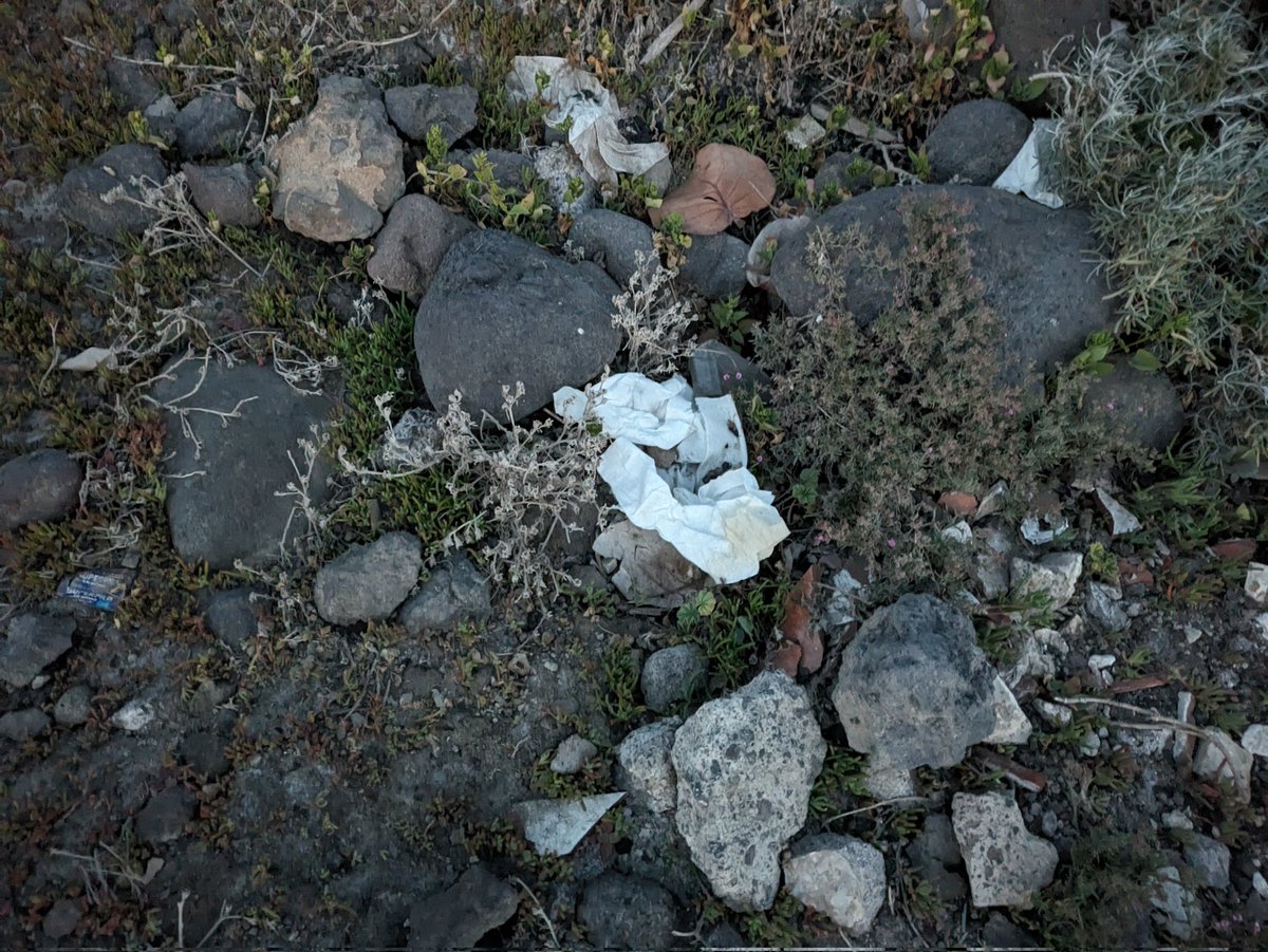 ivvr12's tweet photo. En la Playa del Socorro, Güímar, después de un fin de semana, a tope de caravanas (zona ilegal) queda lo de SIEMPRE: EXCREMENTOS humanos, con su toallita húmeda sucia. Los vecinos estamos HARTOS. Lo peor es que, quien hace esto es "gente" canaria. PRESENCIA POLICIAL, YA. @RTVCes https://t.co/ryp9xp0qou