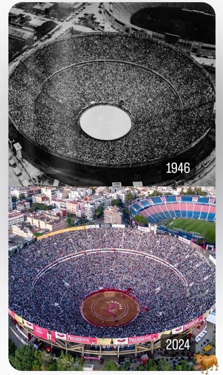 ✝️𝓑𝓞𝓝𝓝𝓨 ✝️ tweet media