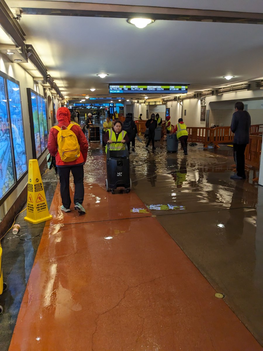 Sandy Eckel tweet media