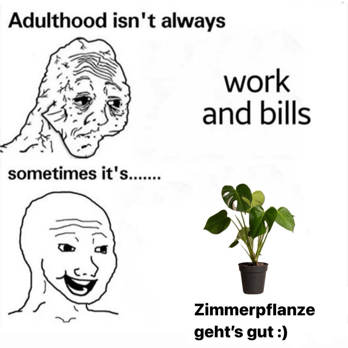 E L   H O T Z O (@elhotzo) on Twitter photo 