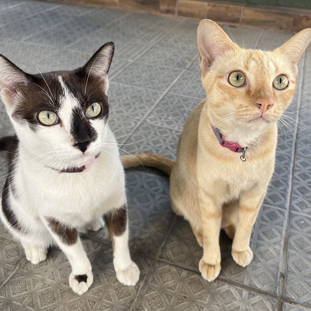 โตมาอย่างเท่555555 น้อนตัวซ้ายเหมือนมิ้วกุเลย