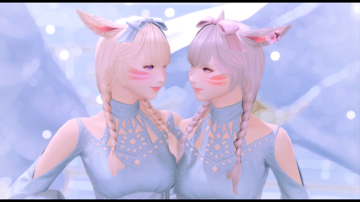 r🫠 (@tokumei_miqote) on Twitter photo 