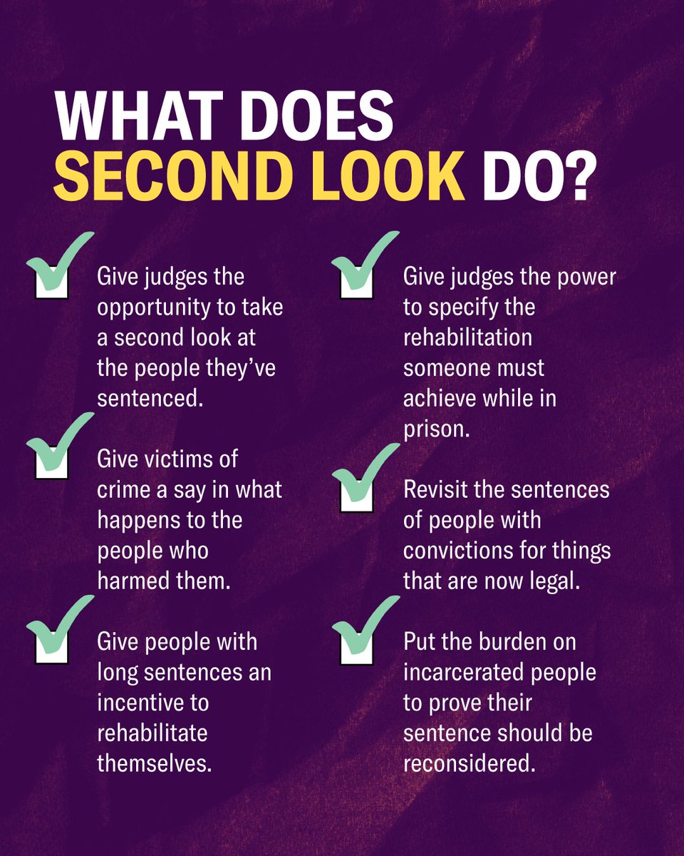 What DOES Second Look do? ✓