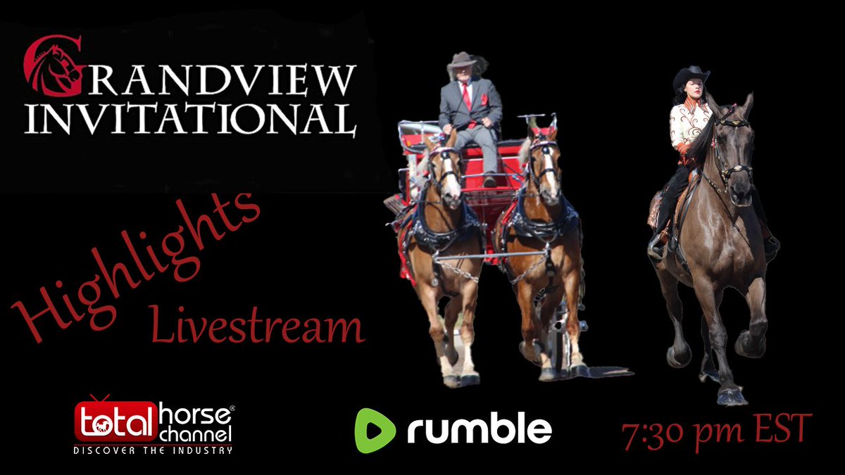 Total Horse Channel TotalHorseChann X
