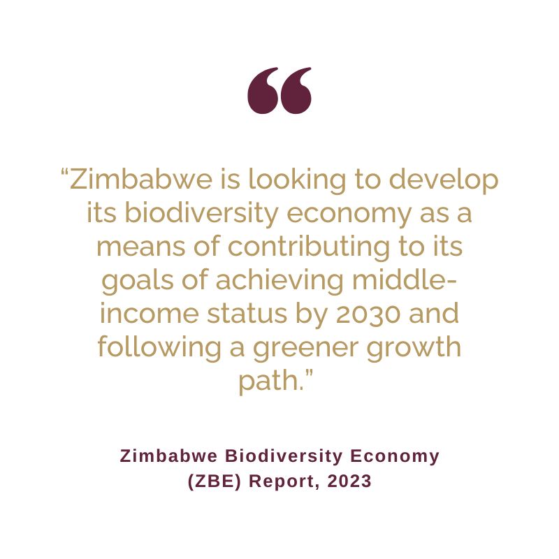 WildlifeEconomy's tweet photo. Keen to know what's next for Zimbabwe's Wildlife Economy? From 15 Feb 2024, we will bring you 5 fascinating  weekly dialogues on building a sustainable wildlife economy in Zimbabwe. Register  here: https://t.co/5F0btSQjsC #WildlifeEconomy #WildPolicy #EvidenceBasedConservation https://t.co/XTomTpHdeL