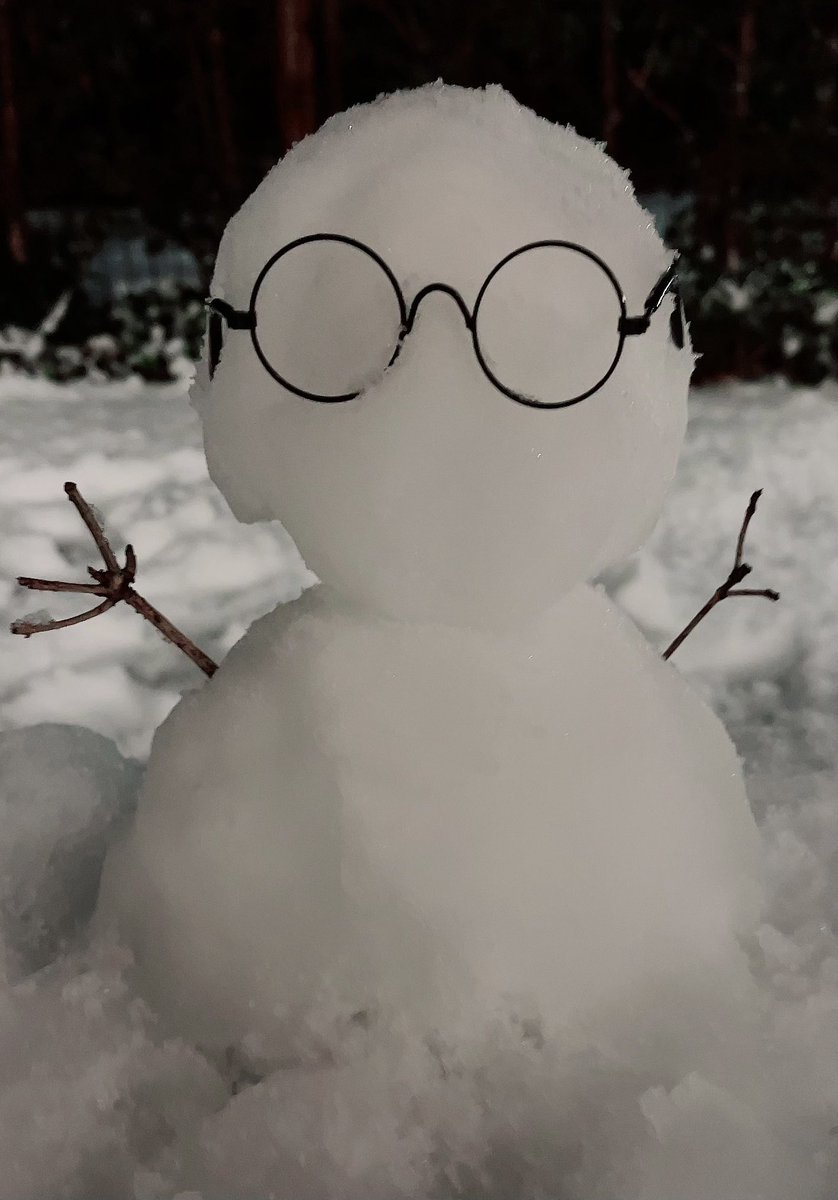 Masayoshi_Oishi's tweet photo. 寒いし雪だしオーイシマサヨシ https://t.co/wNVXVSpfGb