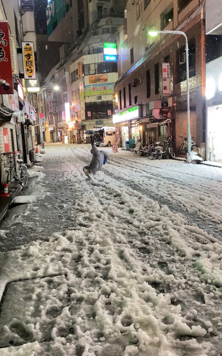 Neil_float's tweet photo. 滑って遊んでたらガチで転んだ https://t.co/0U24cqtvLx