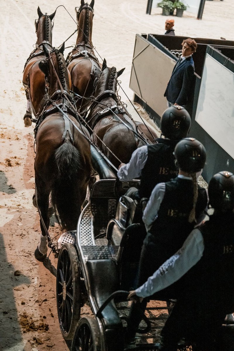 Merci pour vos sourires et applaudissements qui résonnent encore dans les tribunes et les allées. 🌟Une page se tourne, mais la prochaine se prépare déjà : rendez-vous du 6 au 9 février 2025 ! 📆

#JumpingBordeaux #sport #animations #roadto2025