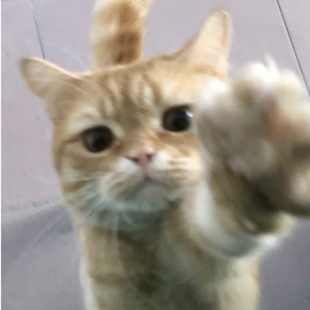 themagicdustt's tweet photo. i miss nong le mak mak 😔🤲🏻 https://t.co/NzgdQSa9Ro