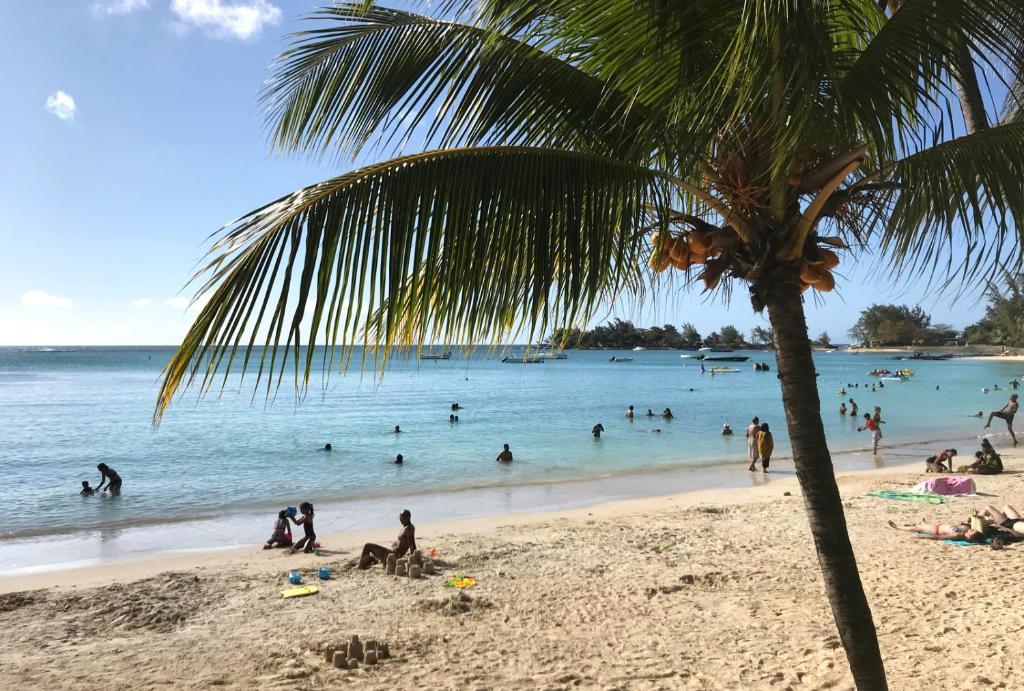 ILE MAURICE : L’enivrante station balnéaire de Grand-Baie #ilemaurice #voyage #mauritius 
✅voyage-ile-maurice.info/ile-maurice/ac…