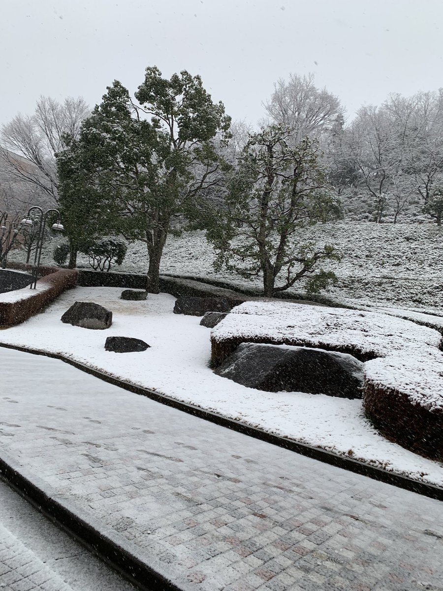 Aire5050's tweet photo. 【無事に帰還❗️🌨️⛄️】
本日は東京でキャリアコンサルDAY。あっという間に積もり、交通機関が止まる可能性⁉️があると…予定を前倒しする事に❄️駅か��家までは風と雹かっていうくらい雪のツブが痛い😓冷たい🧊��状で…ビシャ濡れ〜💦になりながら無事帰還❗️#関東大雪 #あっという間の積雪 #帰りは吹雪🥶 https://t.co/LaOZjjHL6M