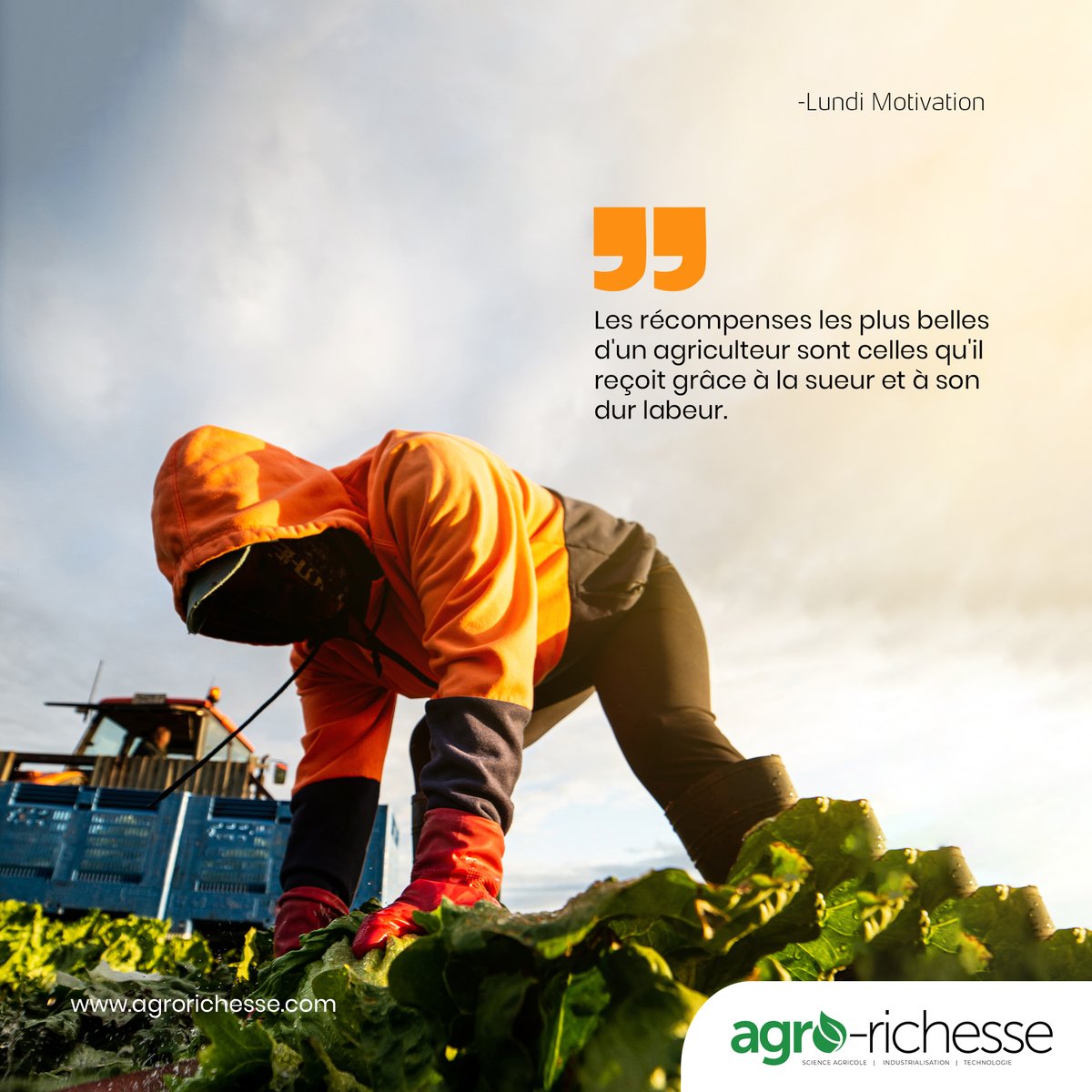 agrorichesse's tweet photo. Le dévouement d'un agriculteur permet de récolter les fruits les plus doux du travail.

#amour #amusement #excitation #beauté #agriculture #manioc #citation #motivationnel #ävenir #soleil #cultivez #permet https://t.co/ISKruT0IGm
